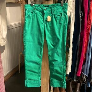 Citizens of Humanity Dani Cropped Straight Leg Green 27